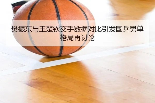 樊振东与王楚钦交手数据对比引发国乒男单格局再讨论 | HaoBo